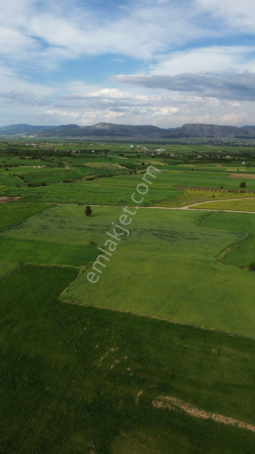 Korkuteli Yeltende 6.496 M2 Verimli Bahçe Yapımına Uygun Tarla - Görsel 4