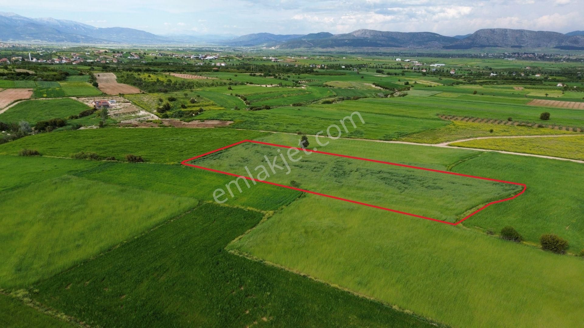 Korkuteli Yeltende 6.496 M2 Verimli Bahçe Yapımına Uygun Tarla - Görsel 5