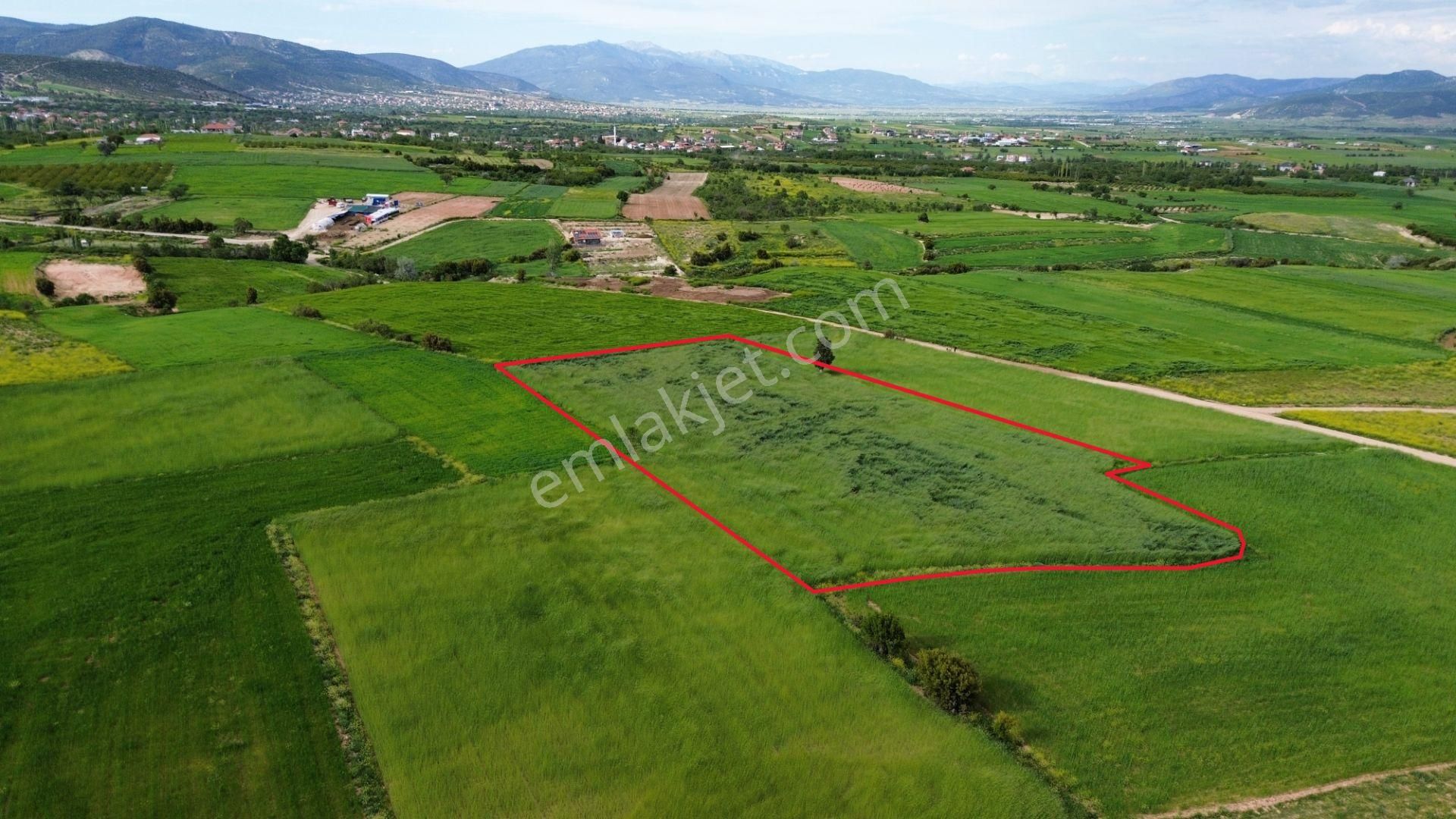 Korkuteli Yeltende 6.496 M2 Verimli Bahçe Yapımına Uygun Tarla - Görsel 6