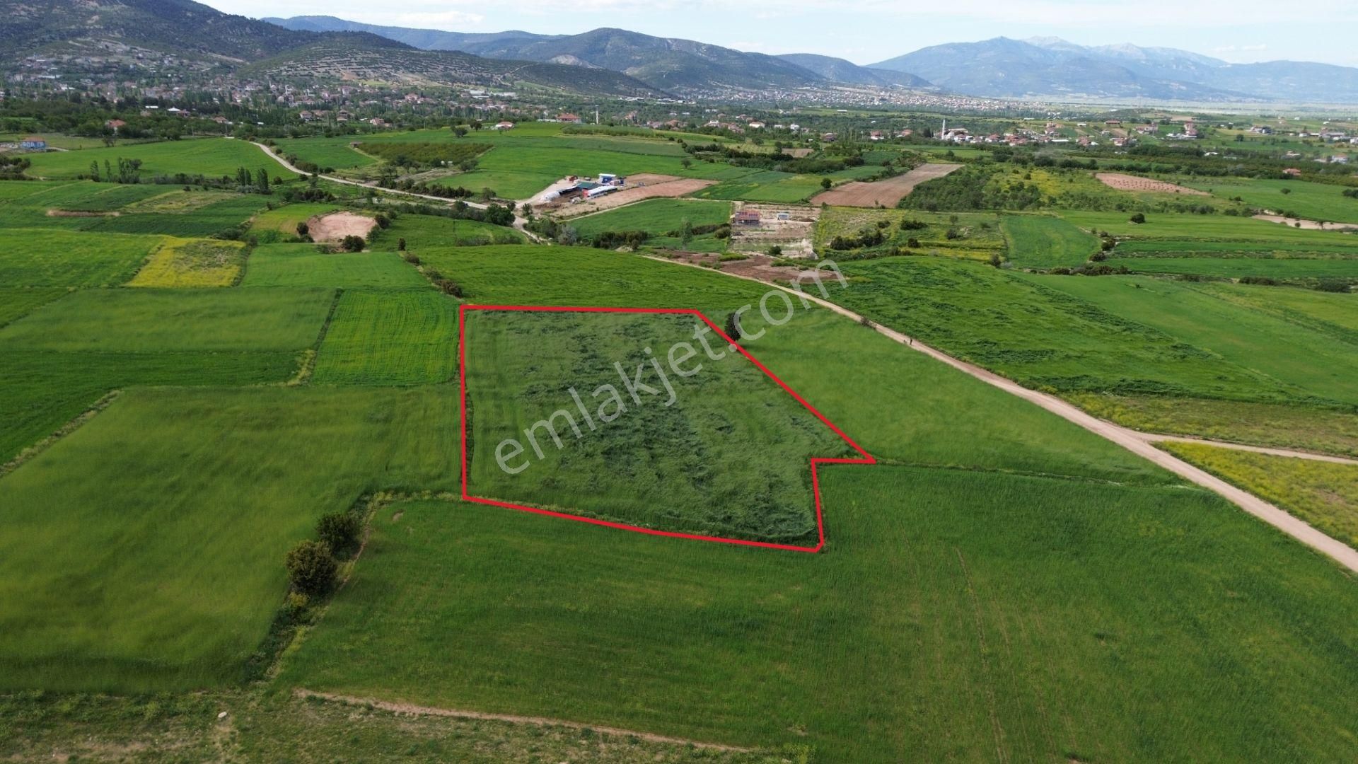 Korkuteli Yeltende 6.496 M2 Verimli Bahçe Yapımına Uygun Tarla - Görsel 3