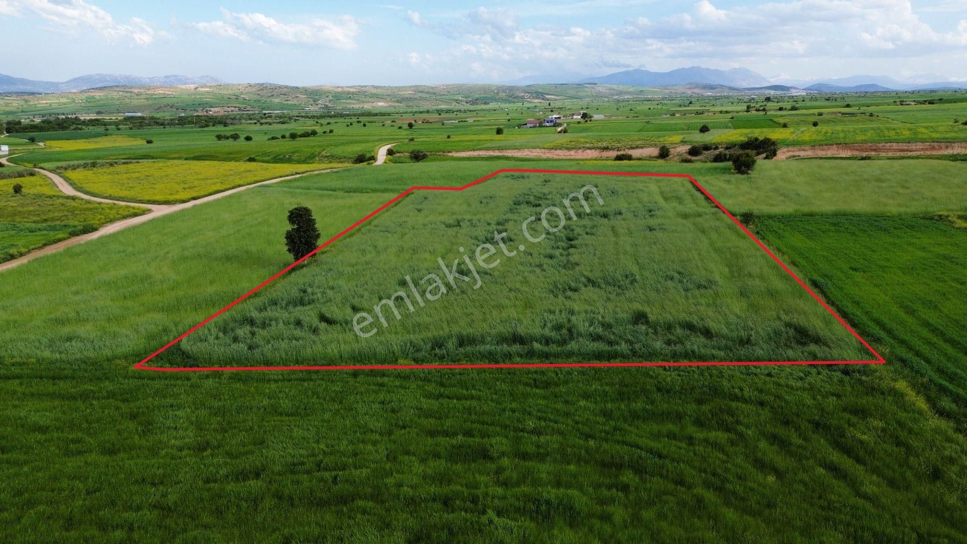 Korkuteli Yeltende 6.496 M2 Verimli Bahçe Yapımına Uygun Tarla - Görsel 9