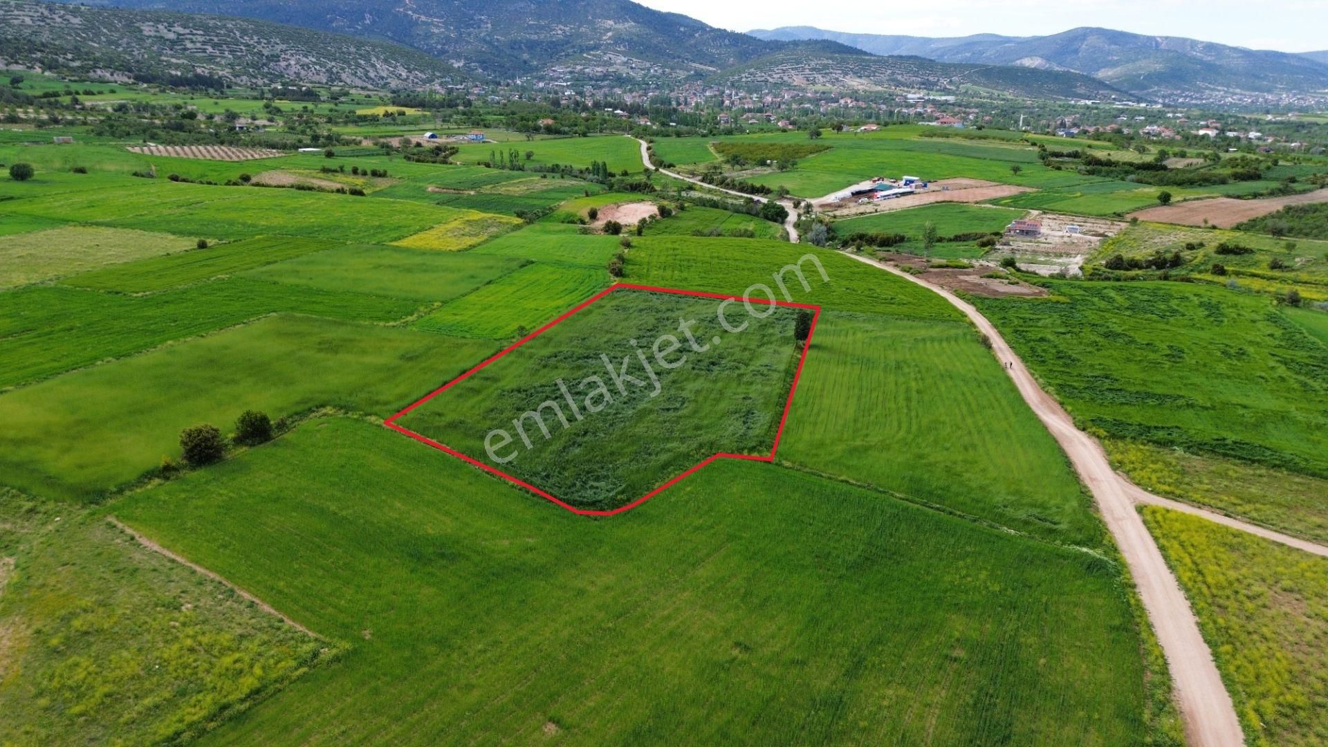 Korkuteli Yeltende 6.496 M2 Verimli Bahçe Yapımına Uygun Tarla - Görsel 7