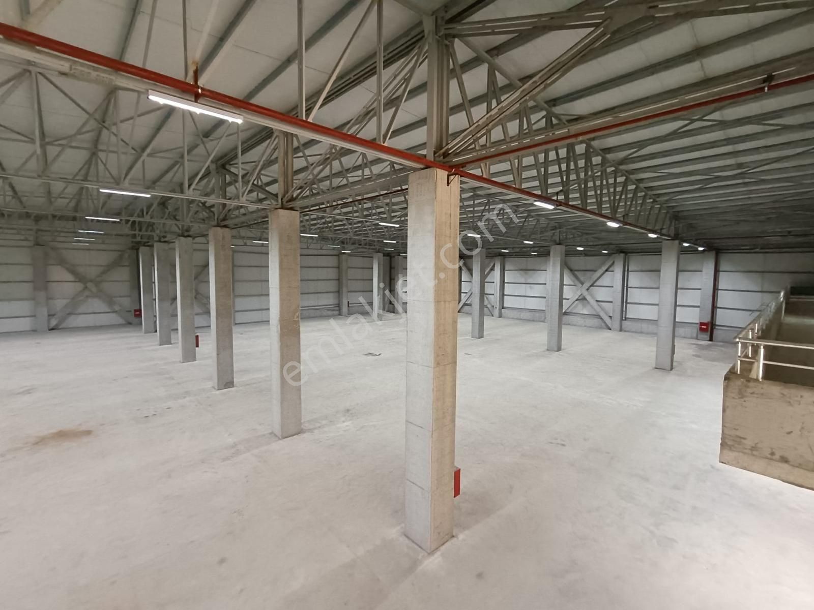 Düzce 2. Osb Kiralık 12.500 M2 Fabrika