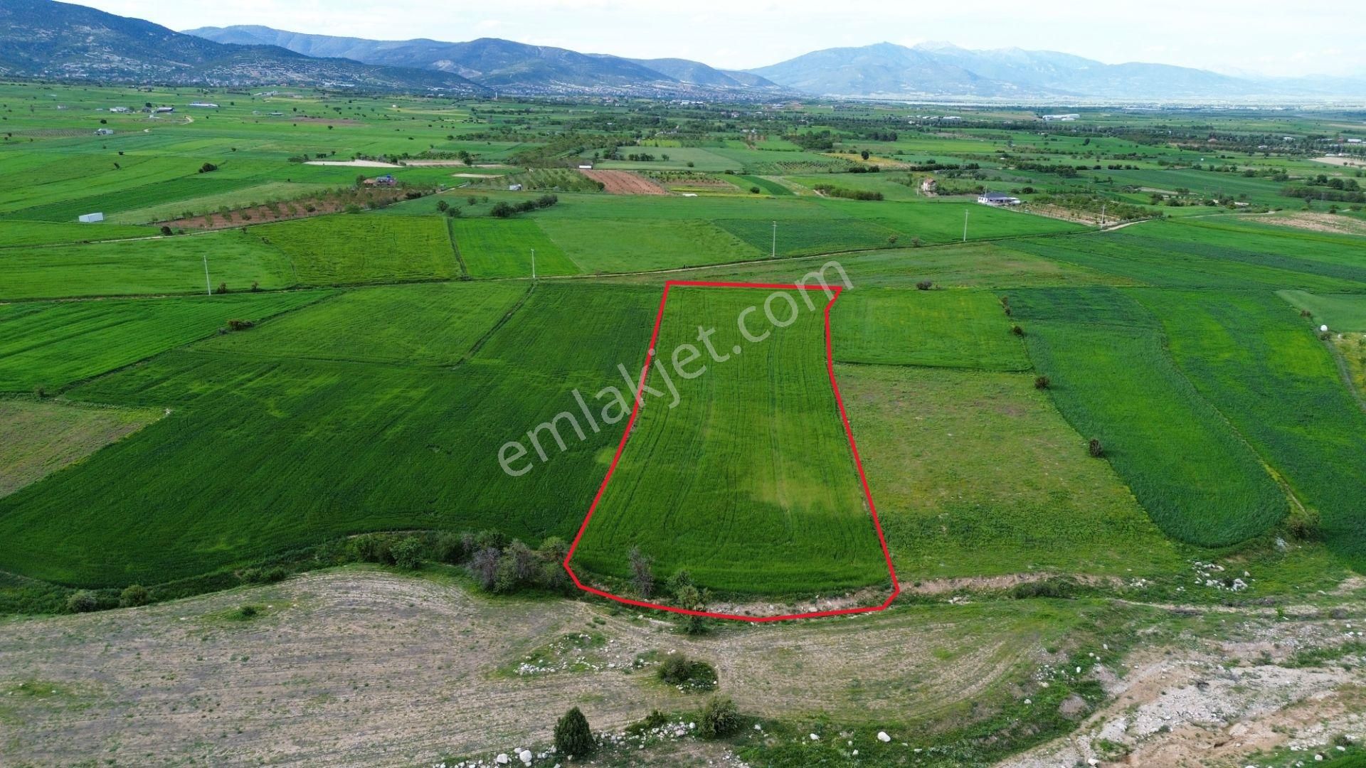 Korkuteli Yeltende 8.867,26 M2 Tarla Emsallerine Göre Uygun Fiyattan Satışa Çıkmıştır - Görsel 10