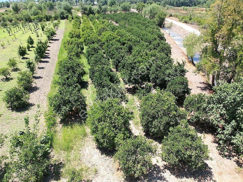 Köyceğiz De Göle Yakın 2650 M2 Tarla Satılık - Görsel 14