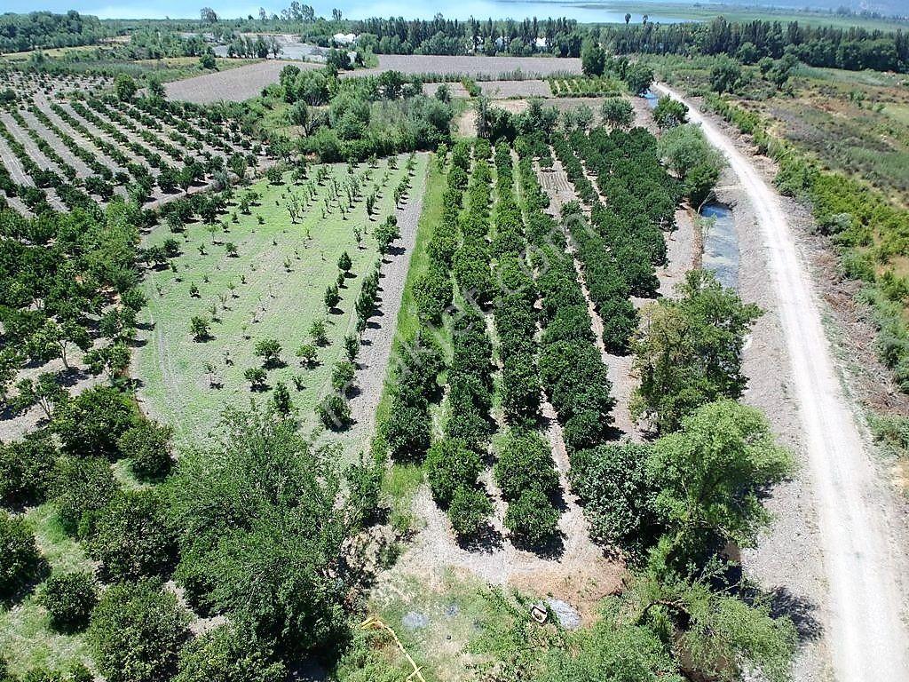 Köyceğiz De Göle Yakın 2650 M2 Tarla Satılık - Görsel 13