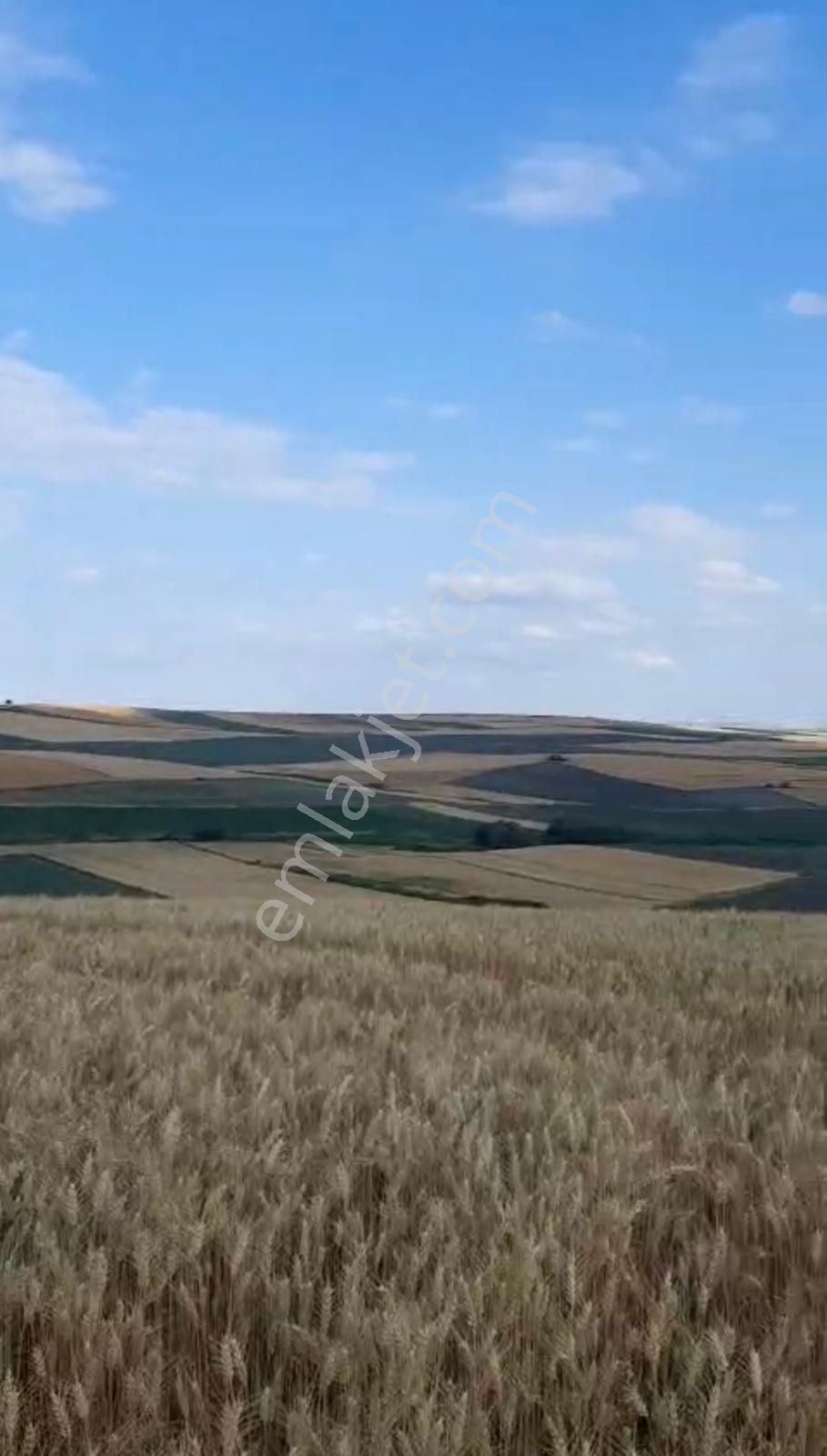 Lüleburgaz / Kırıkköyde Fırsat Tarla