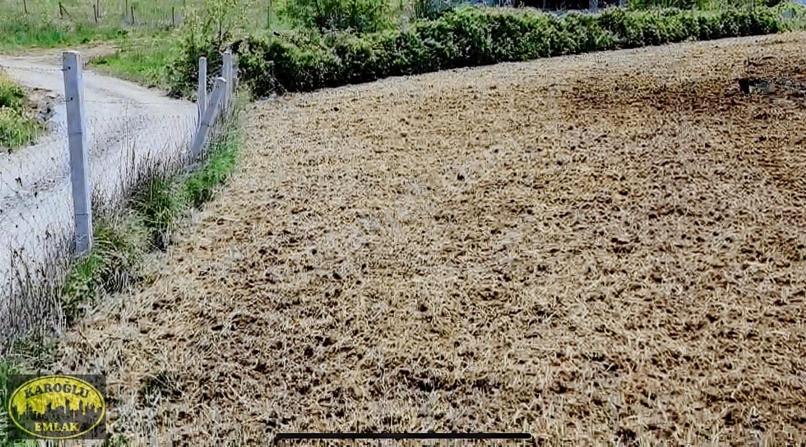 Dağyenicede Hesaplı Yer 1450 M2 Kısa Süre İçin Bu Fiyata