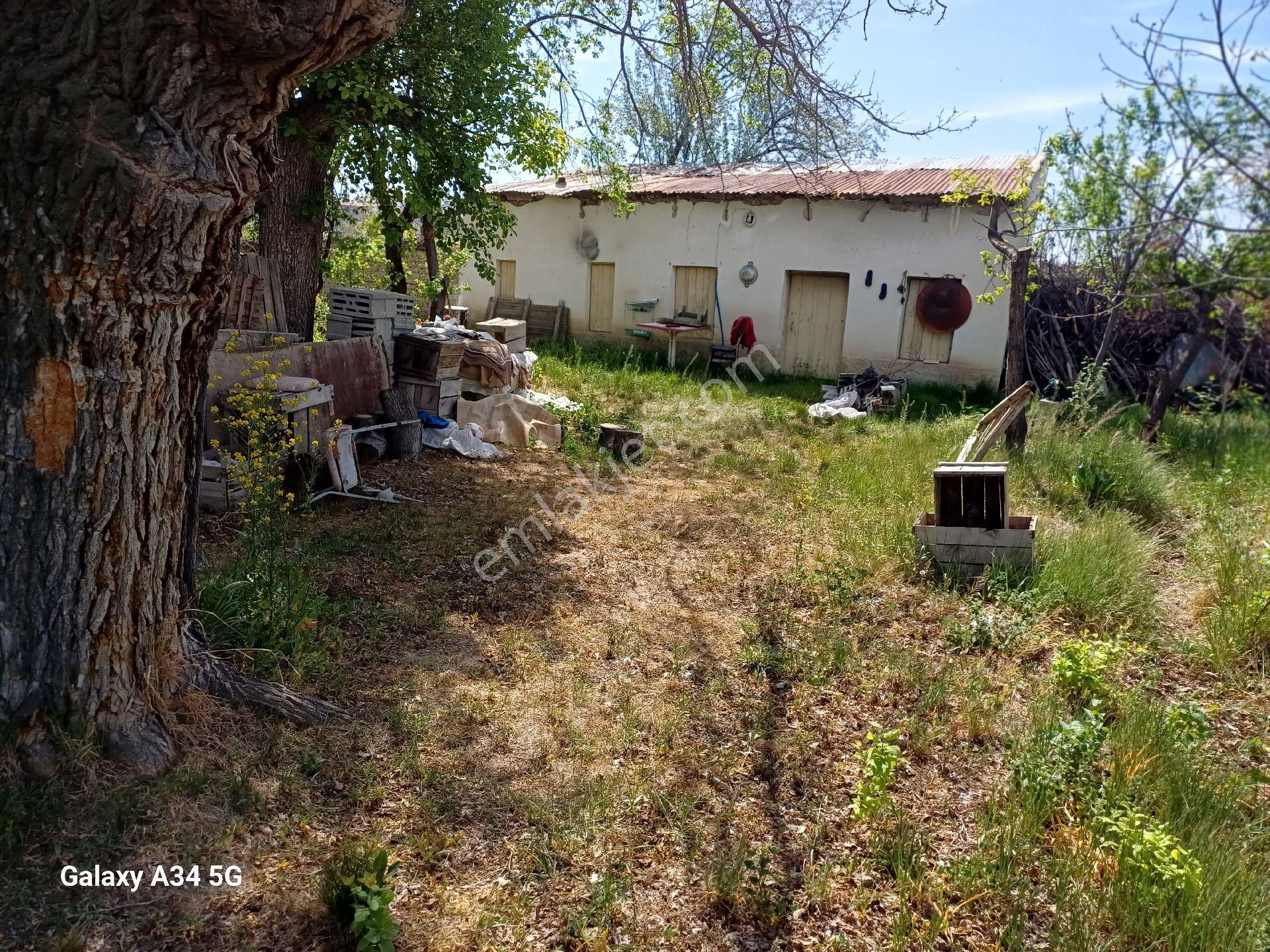 Niğde Bor Sirasogutler Mahallesinde Satılık Elma Bahçesi - Görsel 14