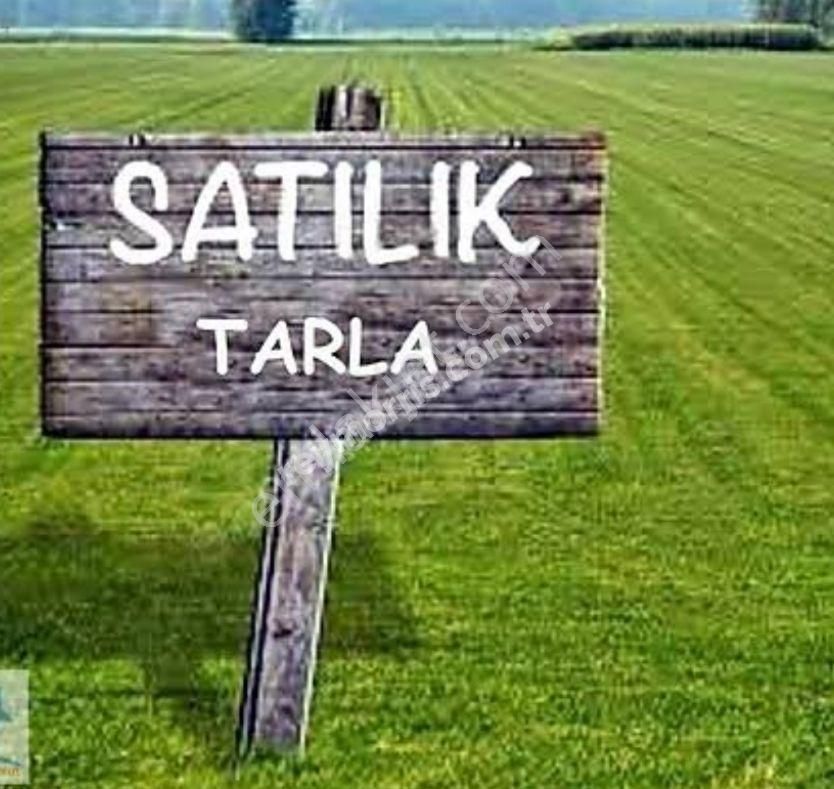 Atılım Gold Emlaktan Erzurum Ömertepe Mahallesinde İmara Çok Yakın Satılık Tarla