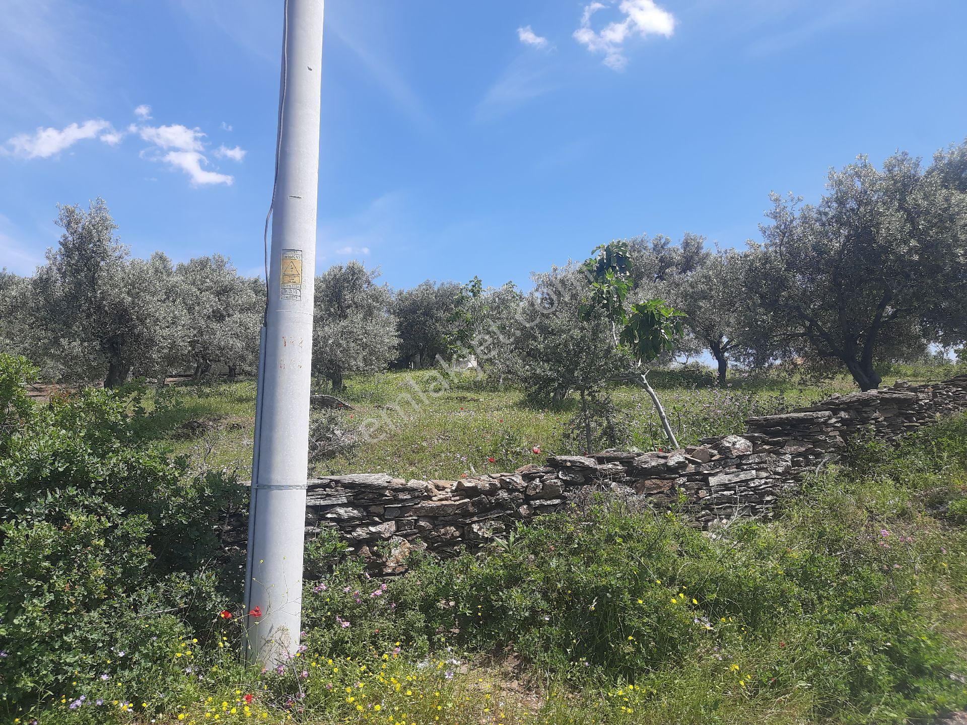 Bayındır'ın Parlayan Yıldızı Kızılcaağaç Mahallesi Ahmetler Mevkiinde Satılık 648m² Arsa