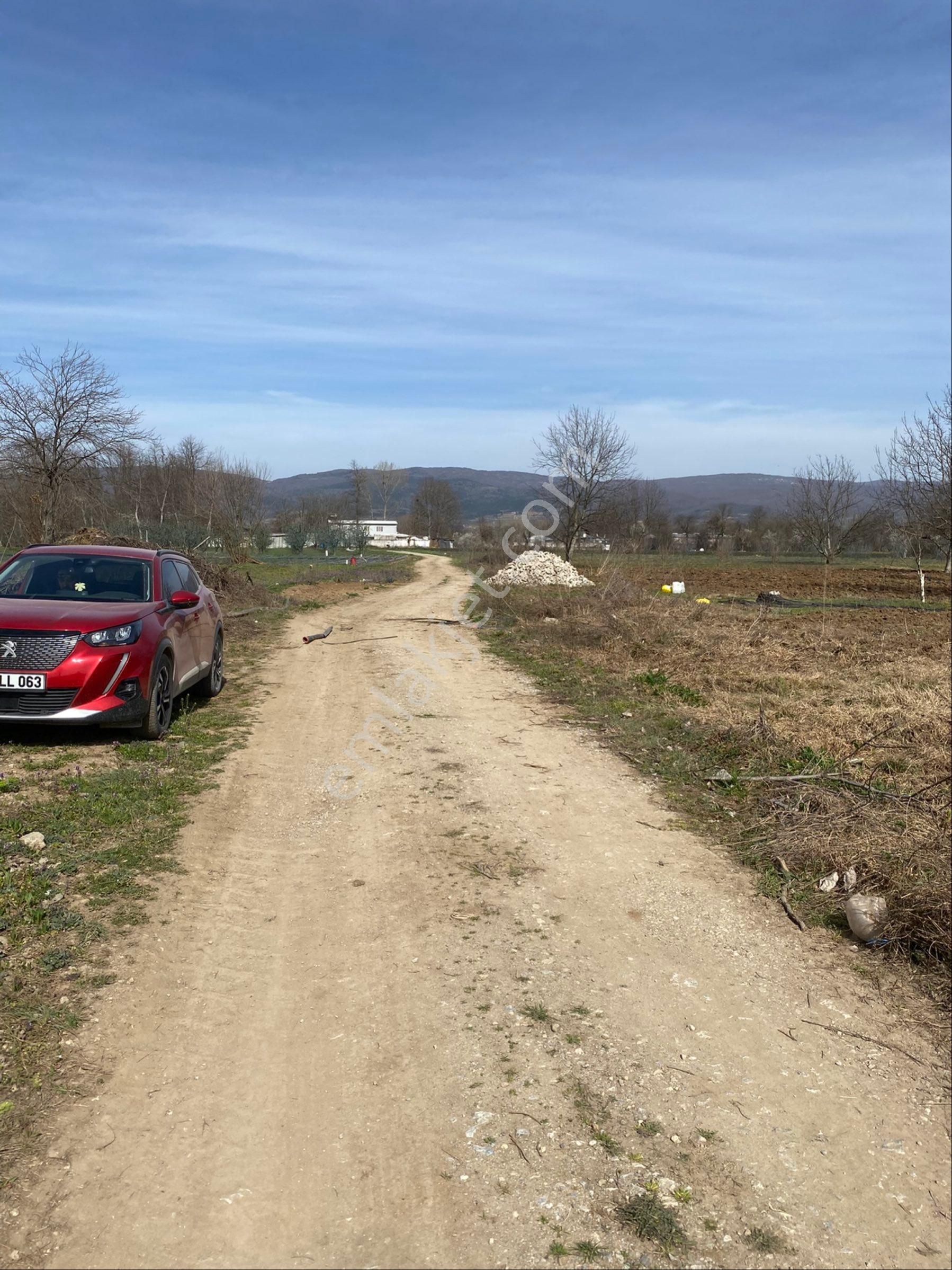 Roma'dan Çitli'de Satılık Hobi Bahçesi - Görsel 9