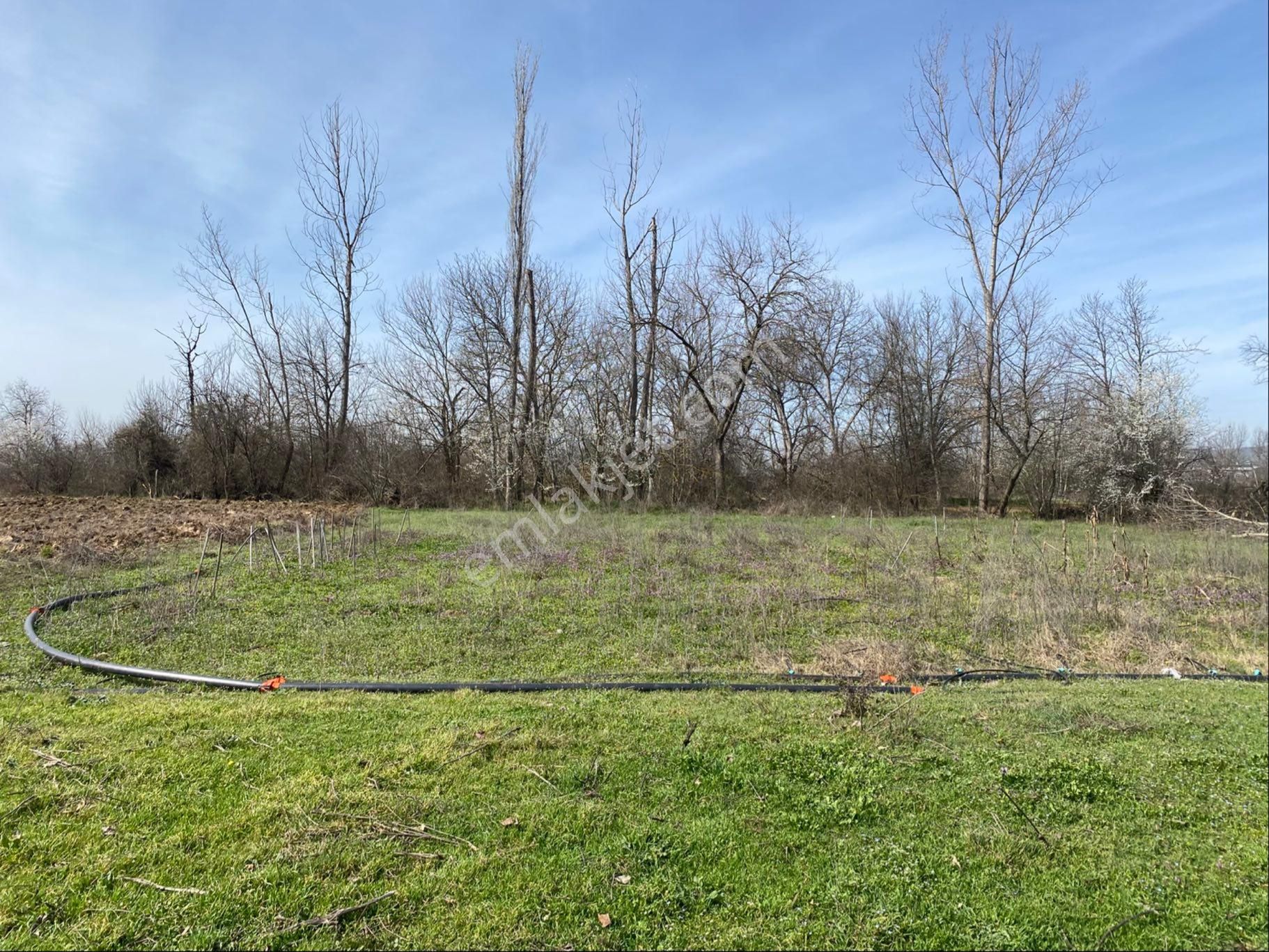 Roma'dan Çitli'de Satılık Hobi Bahçesi - Görsel 7