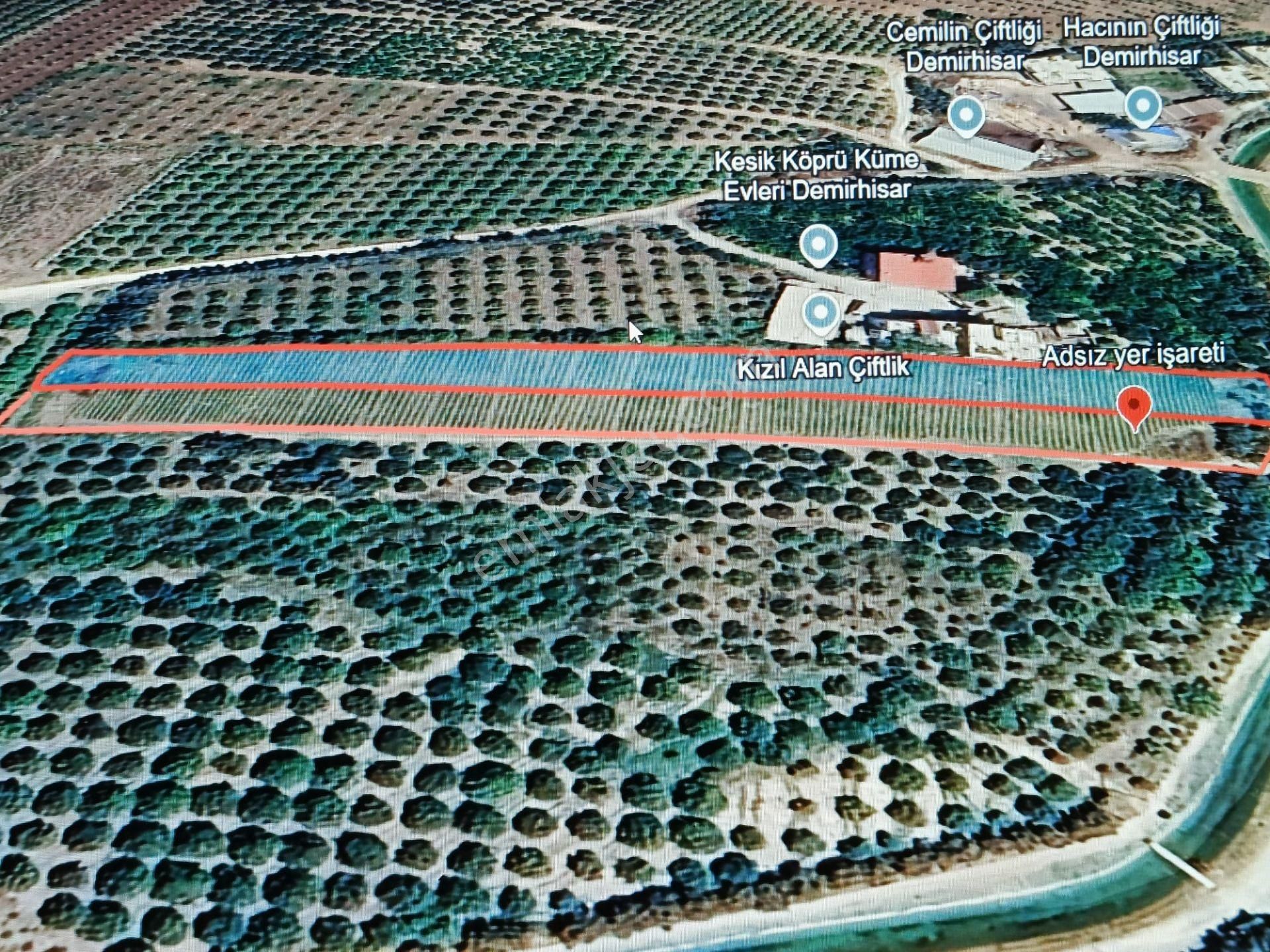 Rw Mef'den Akdeniz Burhan Mevkıı 6370 M2 Tarıma Elverişli Tarla
