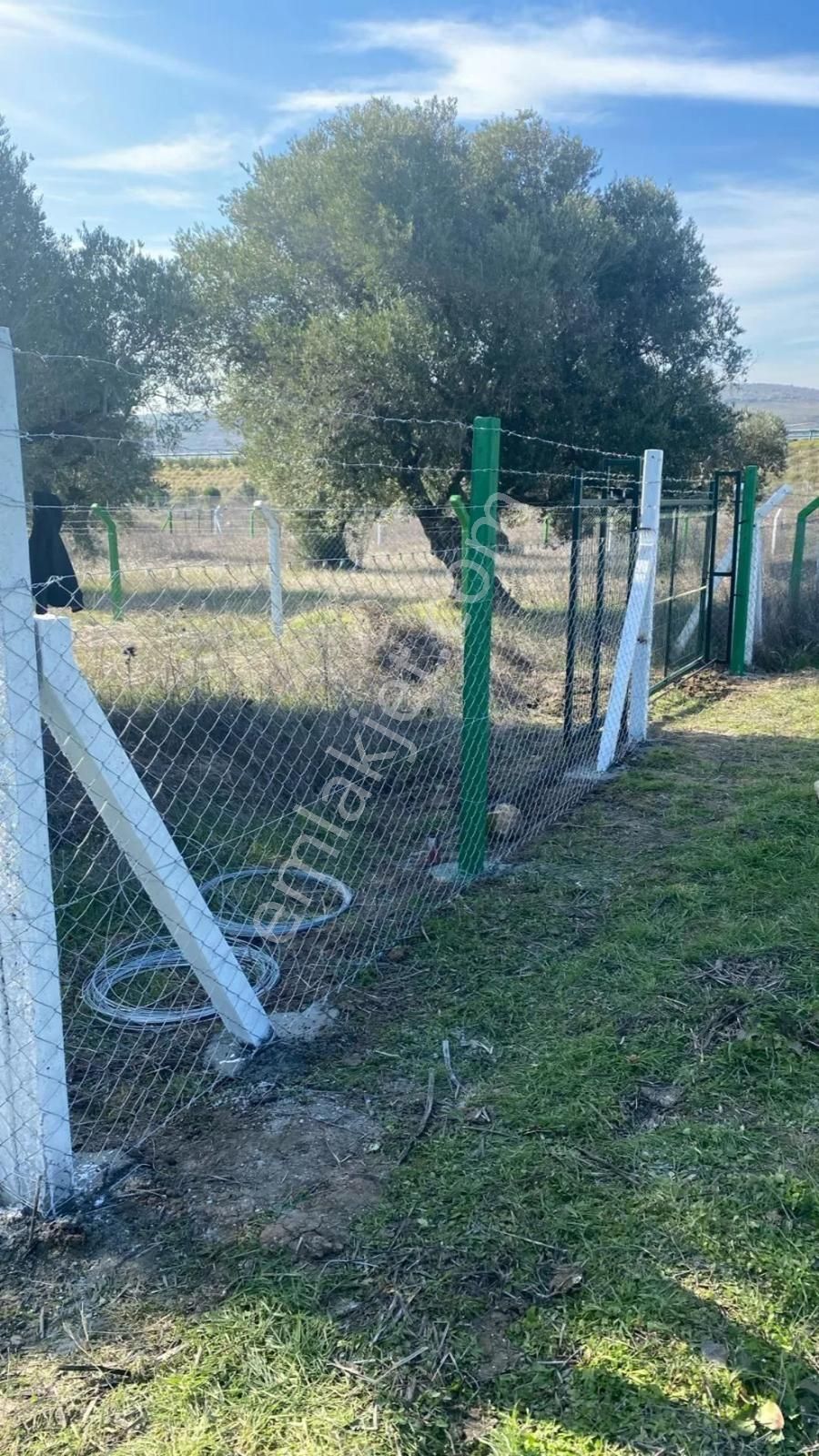Utku Gayrimenkulden Akhisar Ballıca Mahallesinde Satılık Müstakil Hobi Bahcesi - Görsel 6