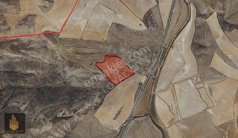 Eskişehir İli Beylikova İlçesi İkipınar Da Satılık Tarla