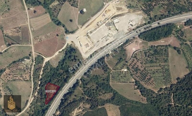 Dürdane 'de Satılık 3.001,43 M2 Şeftali Bahçesi