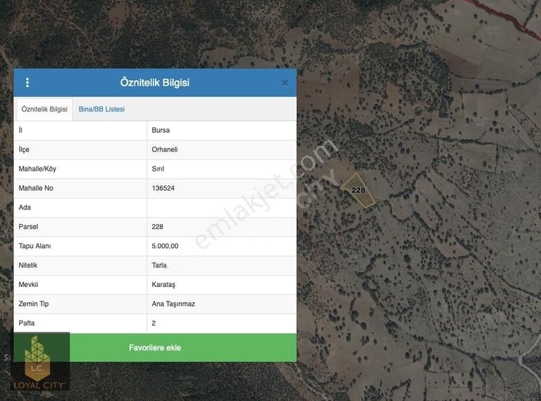 Bursa İli Orhaneli İlçesi Sırıl Mh.'de Satılık 5.000 M2 Tarla