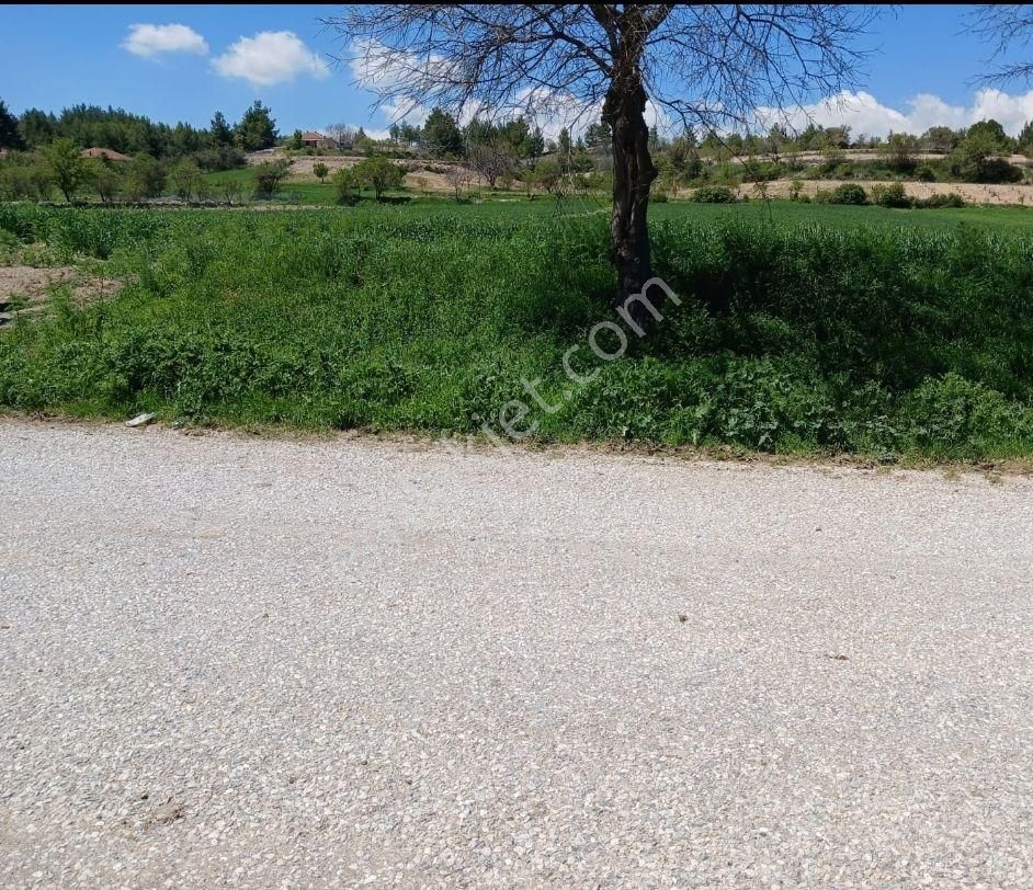 Baklan Çataloba Mh Asfalta Sıfır Satılık Bahcemiz