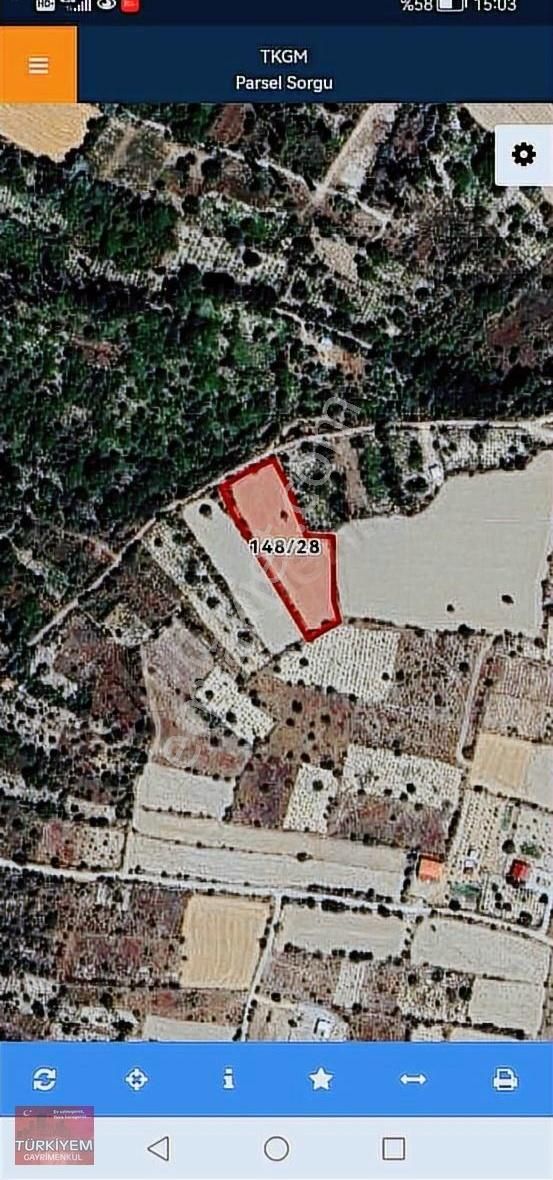 Gesi Subaşında 3600 M2 Tarlamız Satlıktır