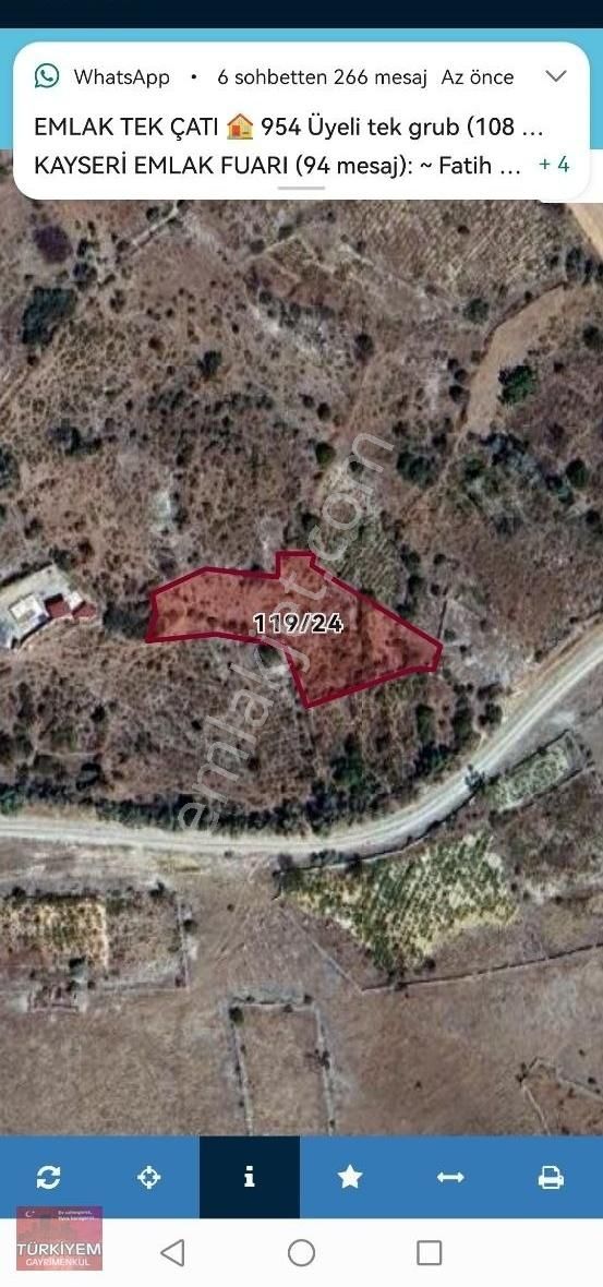 Gesi Büyük Bürüngüzde 1650m2 Satlık Bağ