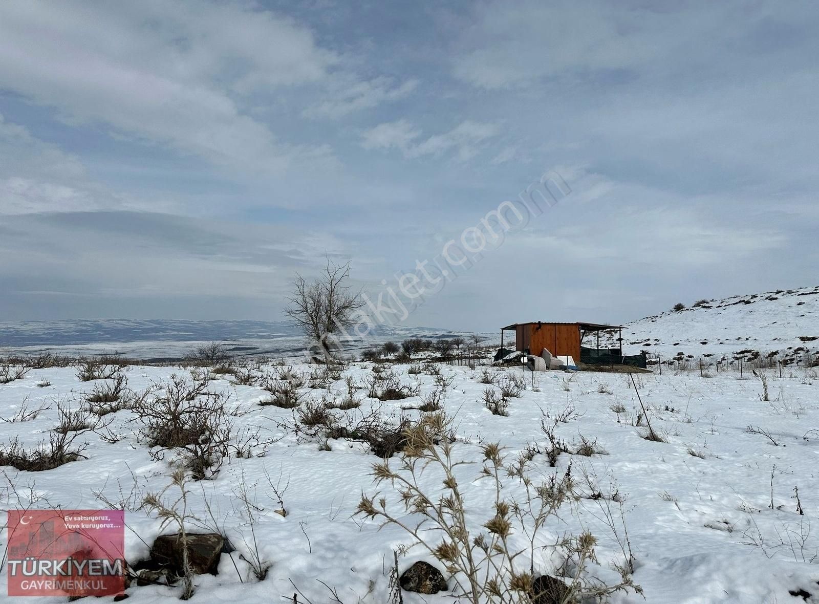 Türkiyem Gyo // Gesi Güney'de Satılık 1300 M2 Bağ Yeri