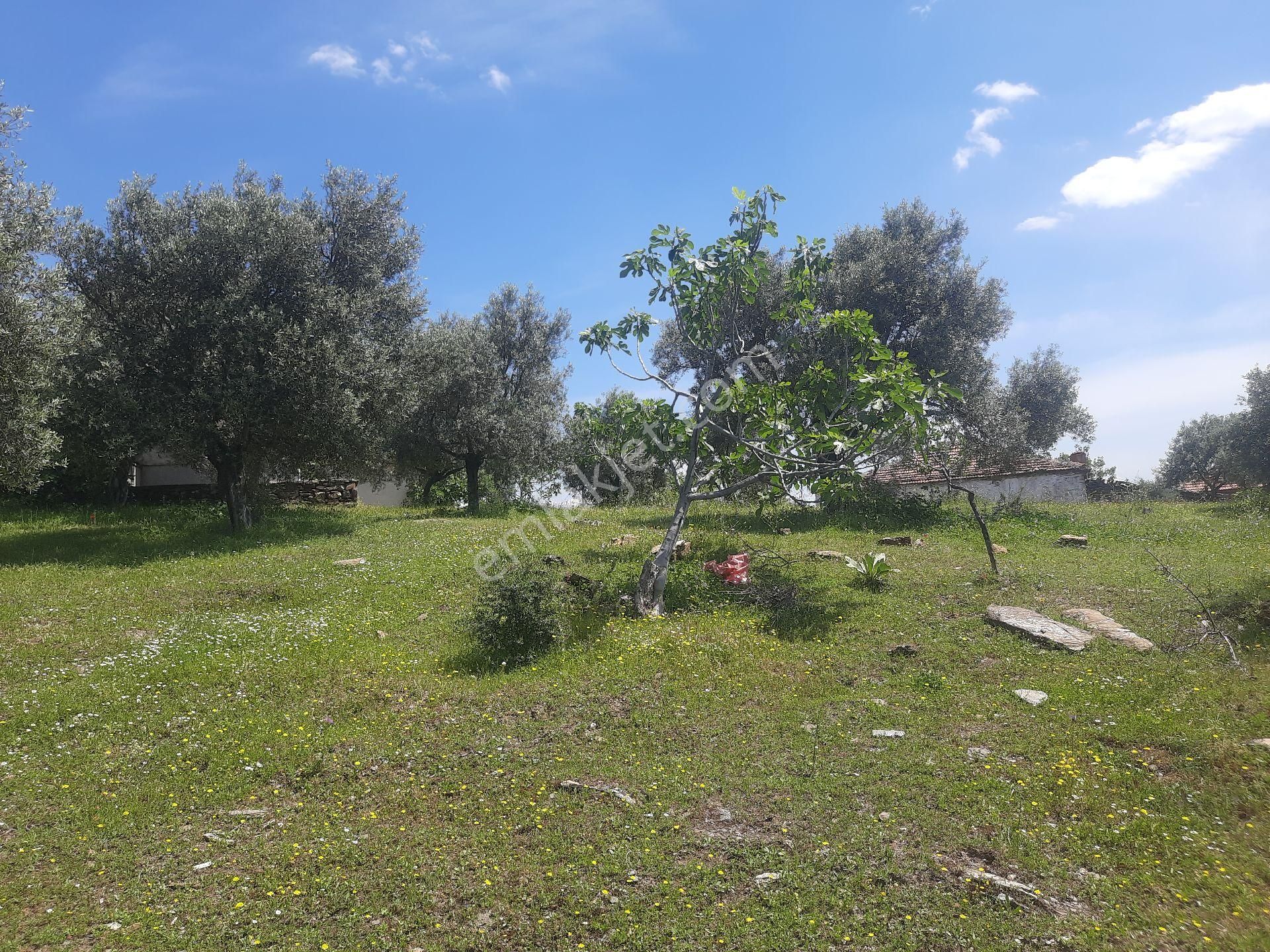 Bayındır'ın Parlayan Yıldızı Kızılcaağaç Mahallesi Ahmetler Mevkiinde Satılık 505m² Arsa