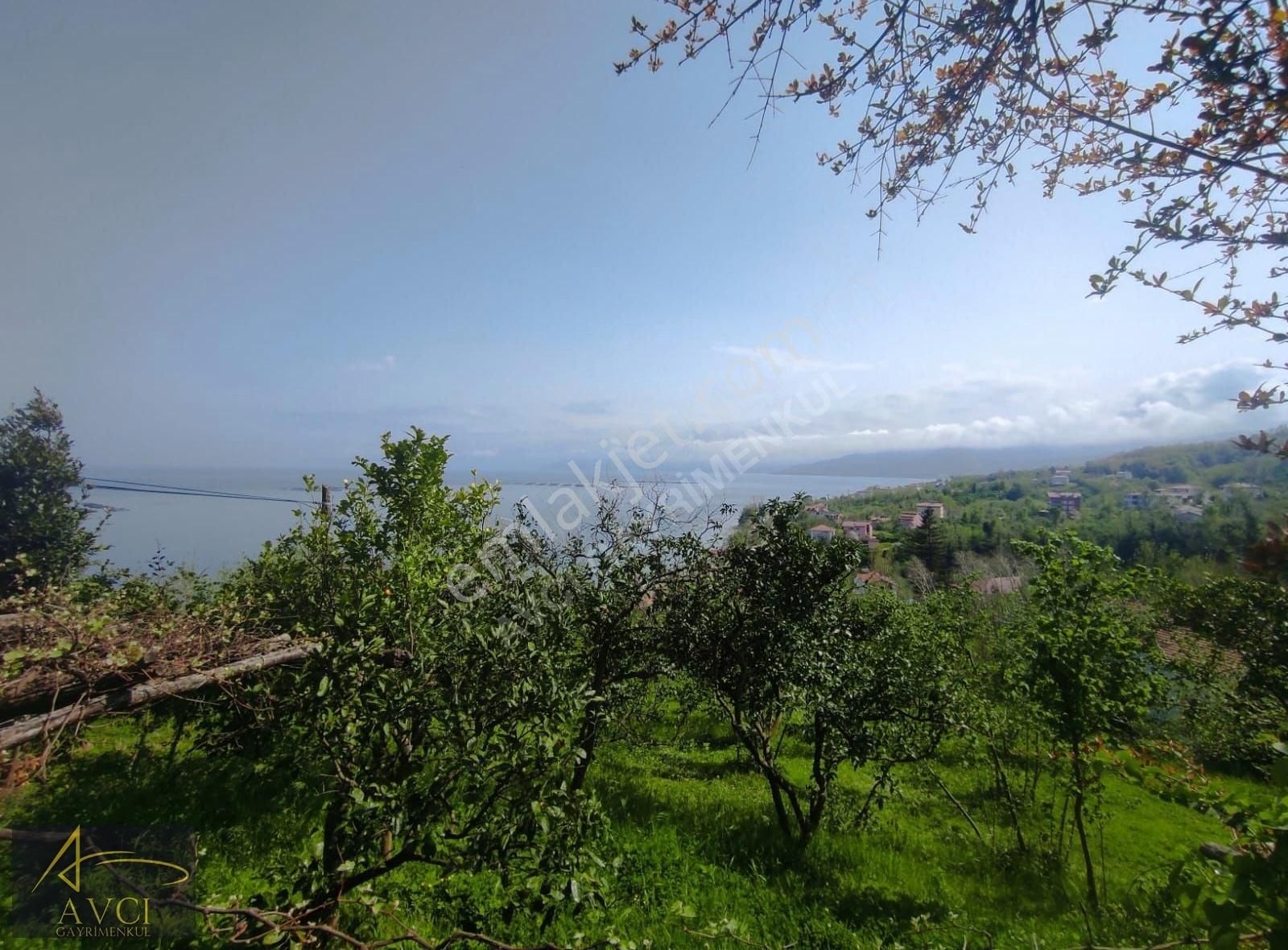 Avcı'dan Çeşmeönü Mahallesinde Yatırmlık Arsa