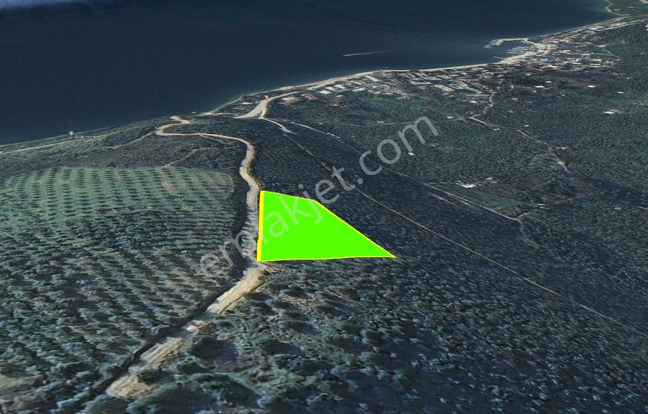 Cb Focus'tan Gemlik / Narlı 'da Satılık Deniz Manzaralı Arazi - Görsel 5