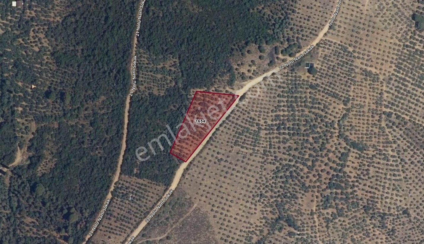 Cb Focus'tan Gemlik / Narlı 'da Satılık Deniz Manzaralı Arazi - Görsel 3