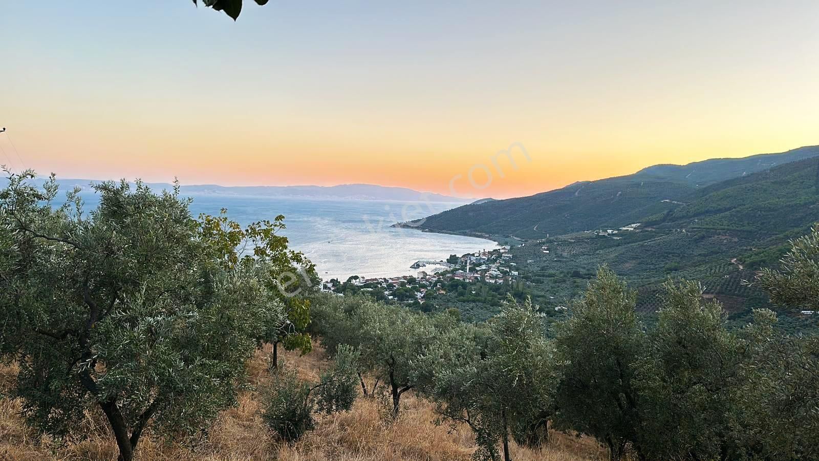 Cb Focus'tan Gemlik / Narlı 'da Satılık Deniz Manzaralı Arazi - Görsel 9