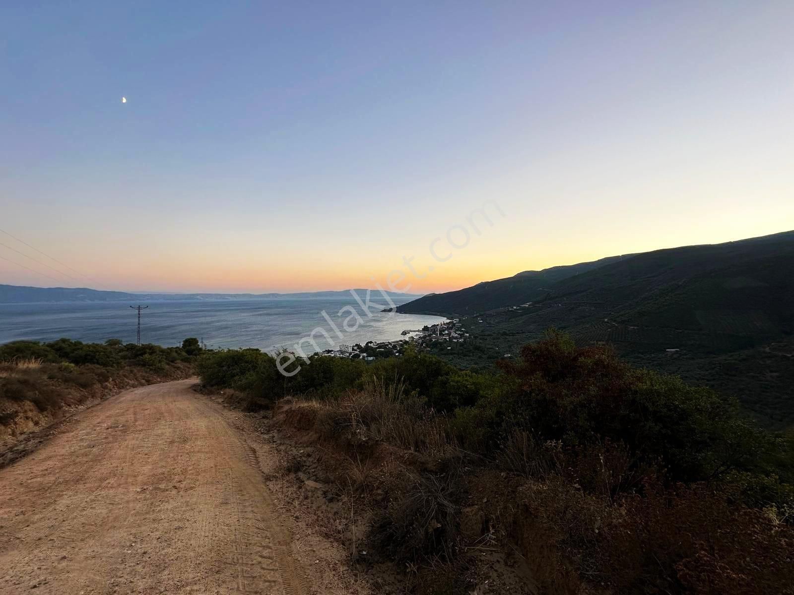 Cb Focus'tan Gemlik / Narlı 'da Satılık Deniz Manzaralı Arazi - Görsel 8