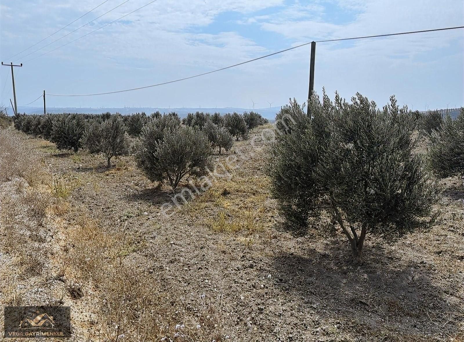 Emirleryenicesin'de Asfalta Cephe Yatırımlık