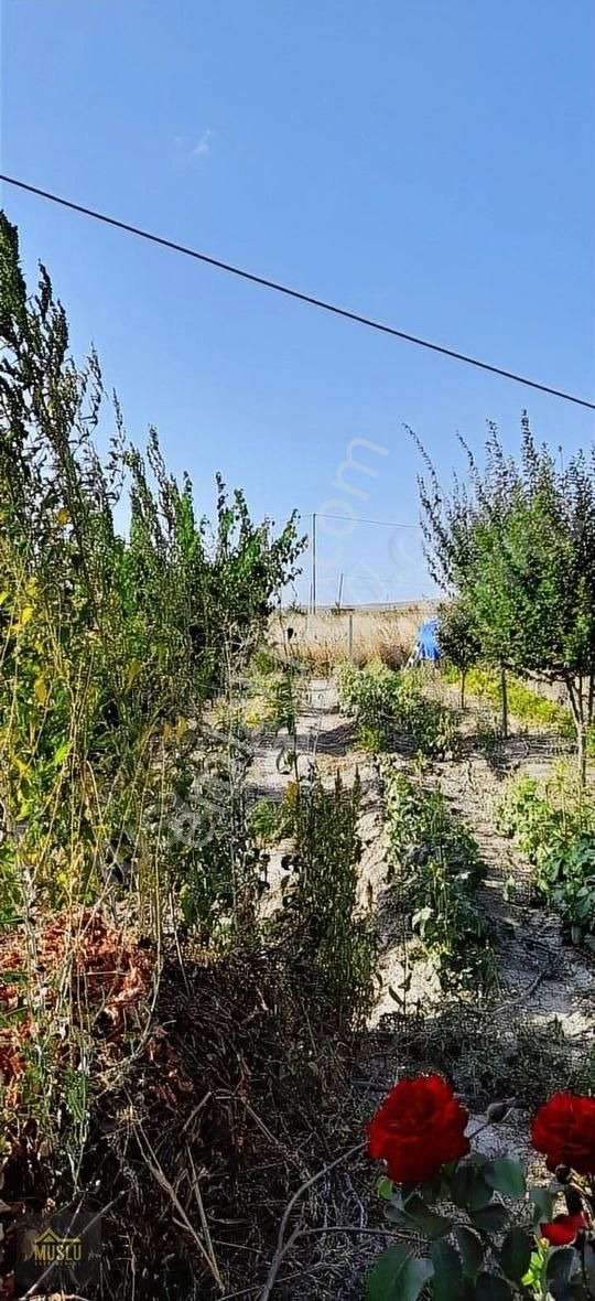 Muslu Gayrimenkulden Ovasaray Köyünde Satılık Hobi Bahçesi