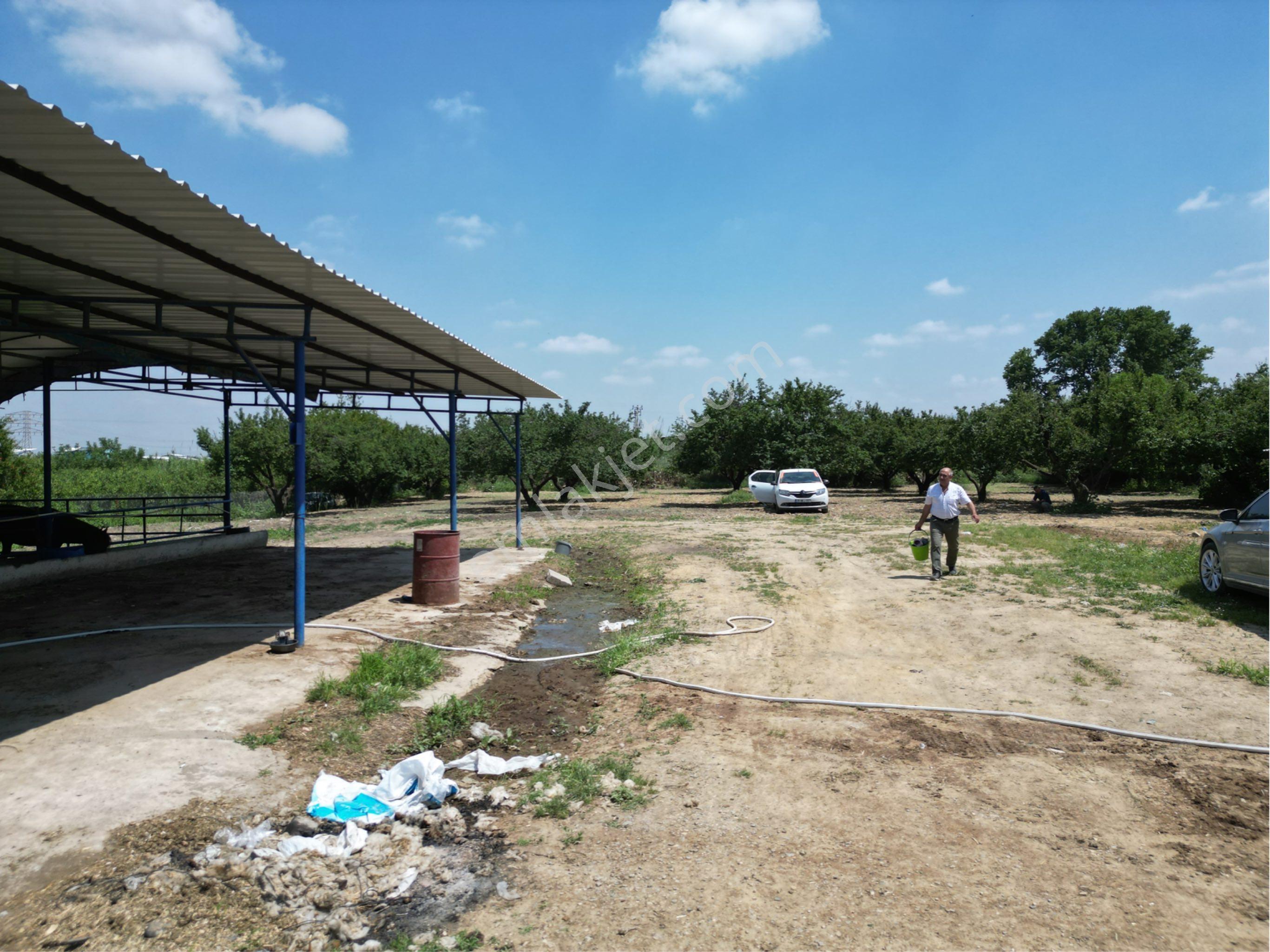 Beyaz Gayrımenkulden Turgutlu 10 Cu Mıntıkada 3 Dönüm Çiftlik - Görsel 25