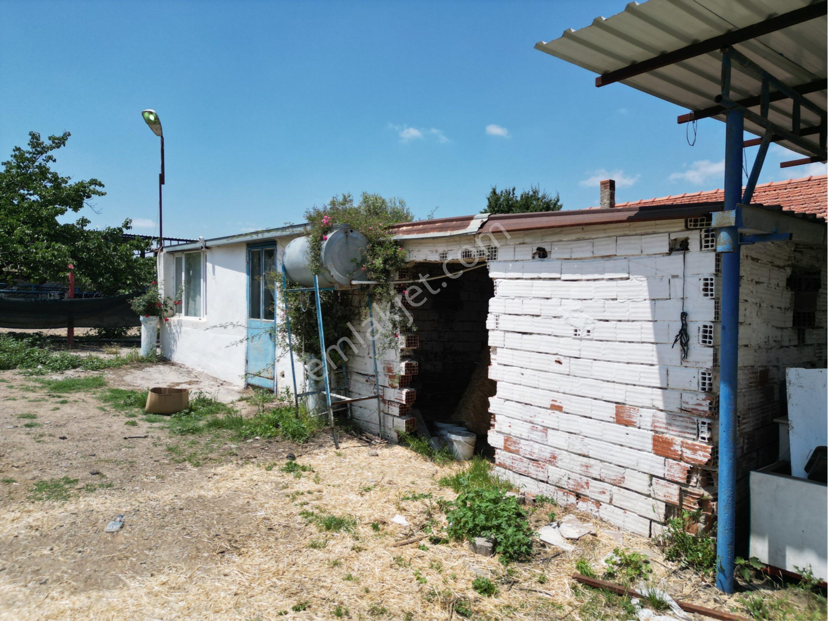 Beyaz Gayrımenkulden Turgutlu 10 Cu Mıntıkada 3 Dönüm Çiftlik - Görsel 17