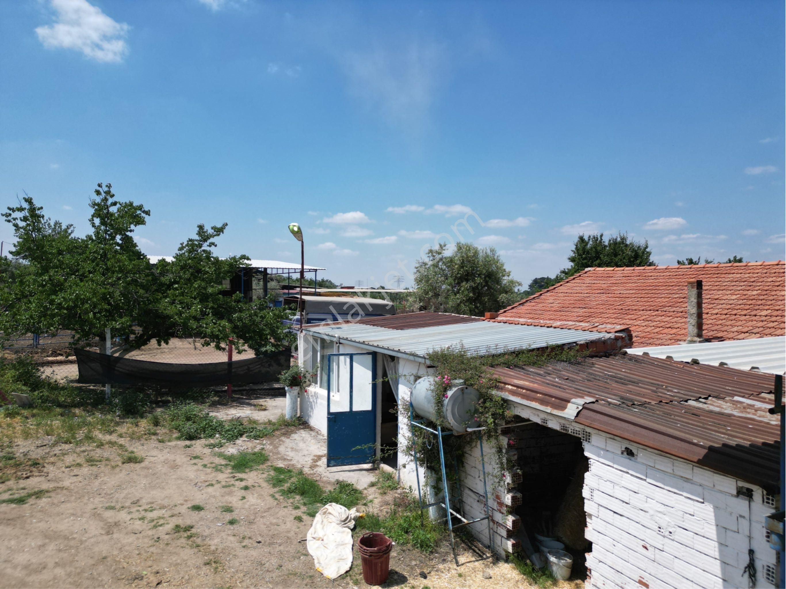 Beyaz Gayrımenkulden Turgutlu 10 Cu Mıntıkada 3 Dönüm Çiftlik