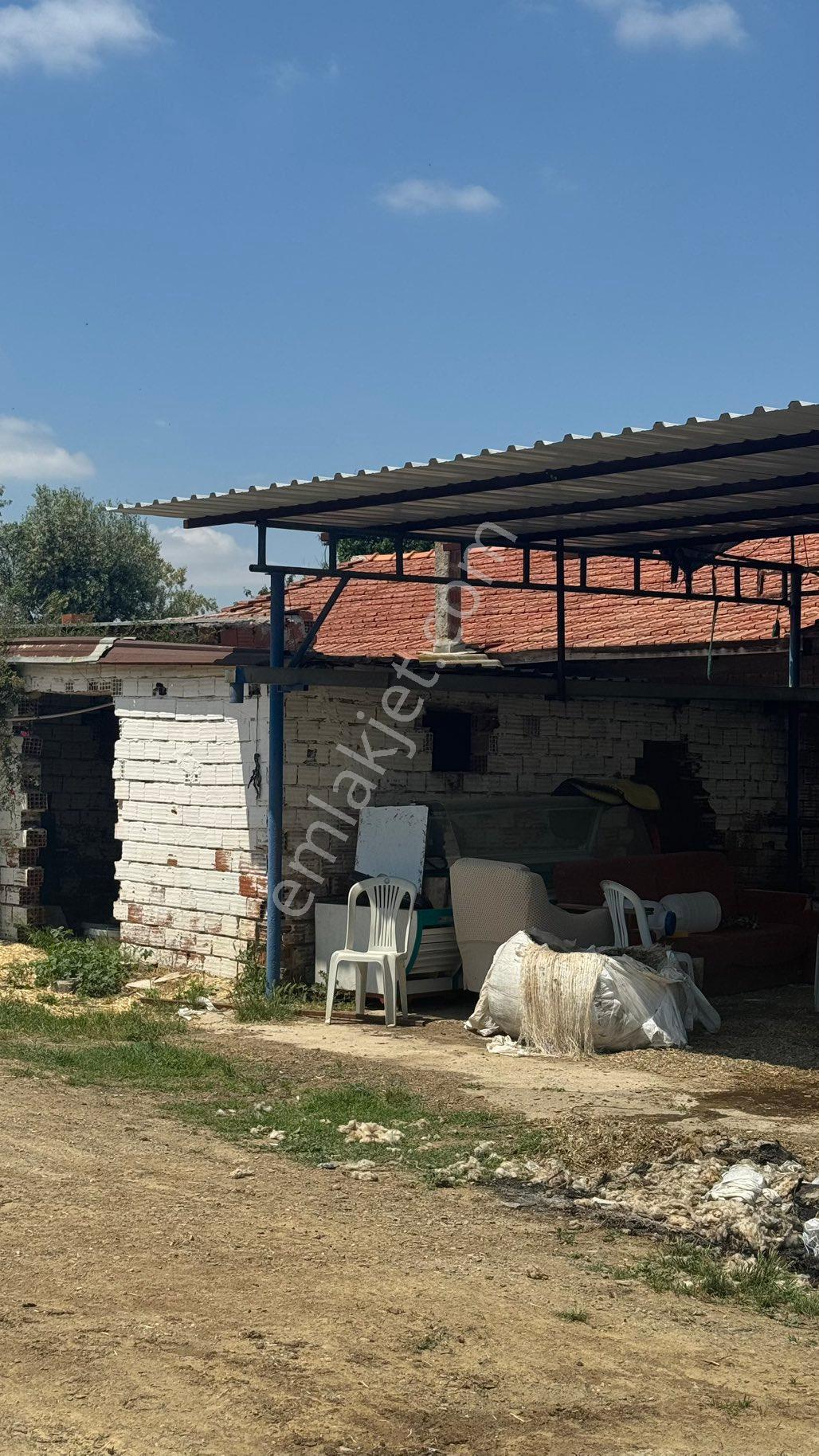 Beyaz Gayrımenkulden Turgutlu 10 Cu Mıntıkada 3 Dönüm Çiftlik - Görsel 34