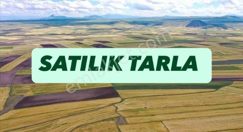 Yürükkırkada 6 Dönüm Satılık Tarla Şendoğan Emlaktan