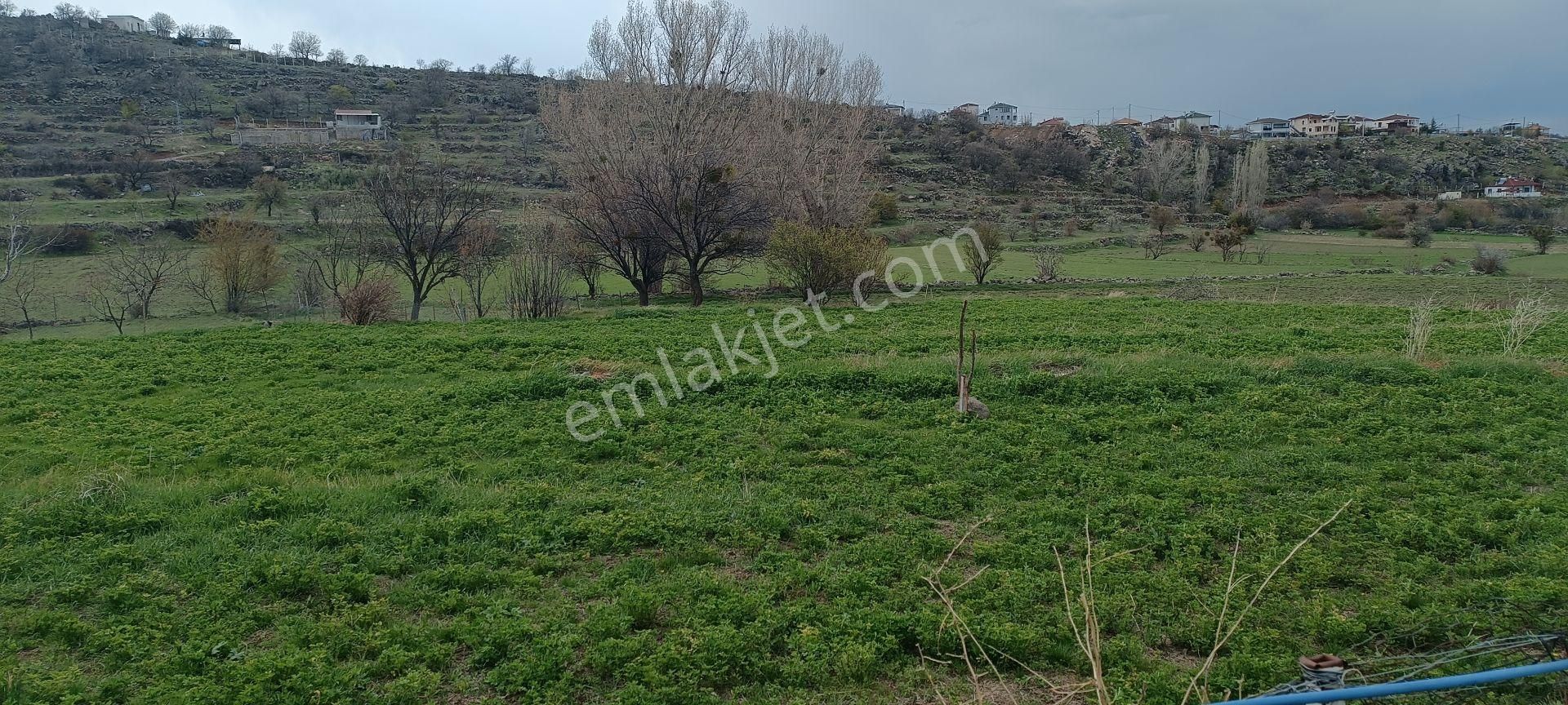 Yanındann Dogal Su Çıkıyor Endürlük Merekez Villa Parseli