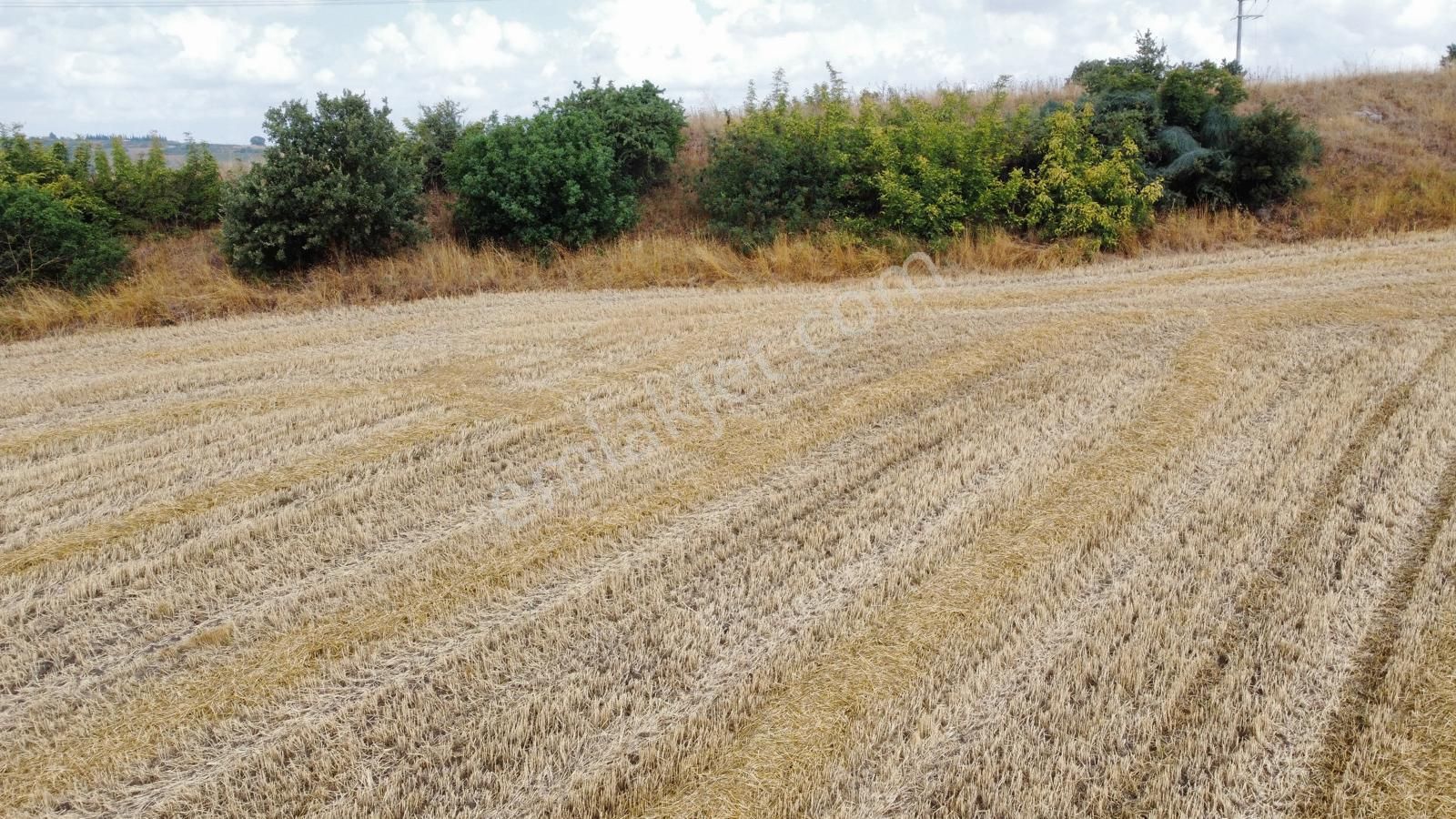 Burhan Ardıç'tan Karacabey Eskikaraağaç 10.200 M2 Arazi - Görsel 3