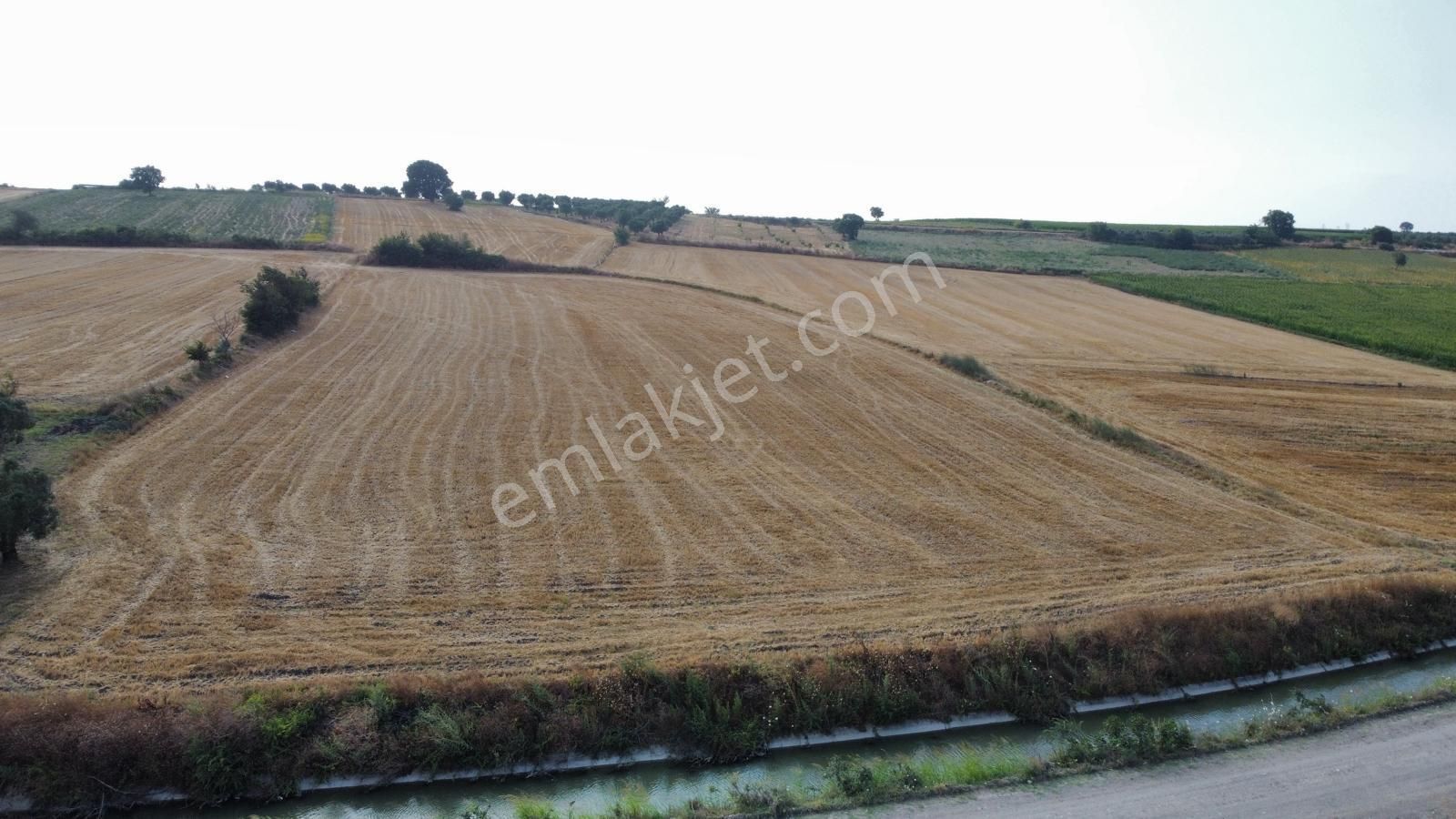 Burhan Ardıç'tan Karacabey Eskikaraağaç 10.200 M2 Arazi - Görsel 4