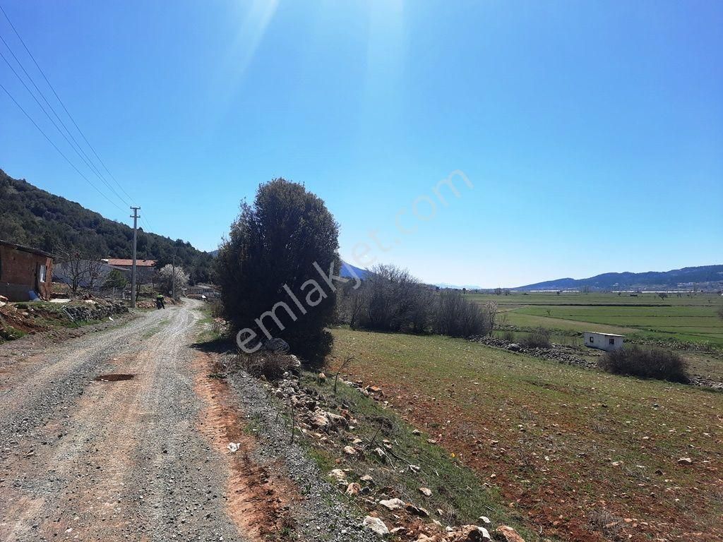 Çameli Belevin De 5000 M2 - 70 Mt Yol Cepheli Tarla Satılık