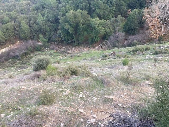 Aydın Karacasu Esençay Anayola Ve Baraja Yakın Tarla 8.284 M2 - Görsel 13