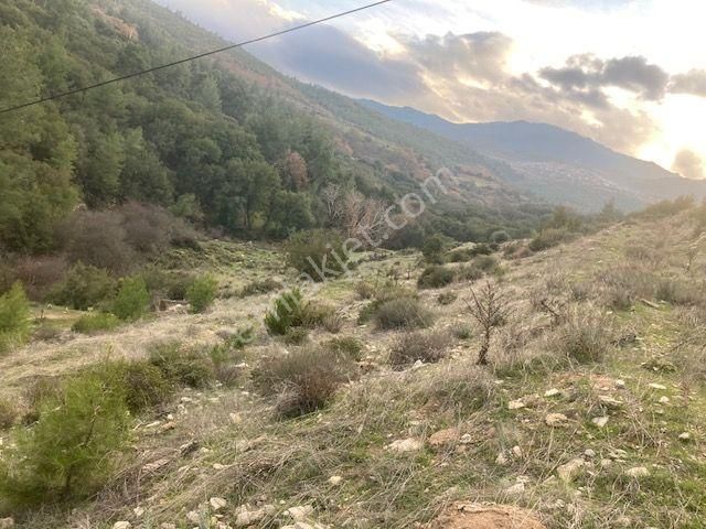 Aydın Karacasu Esençay Anayola Ve Baraja Yakın Tarla 8.284 M2 - Görsel 8