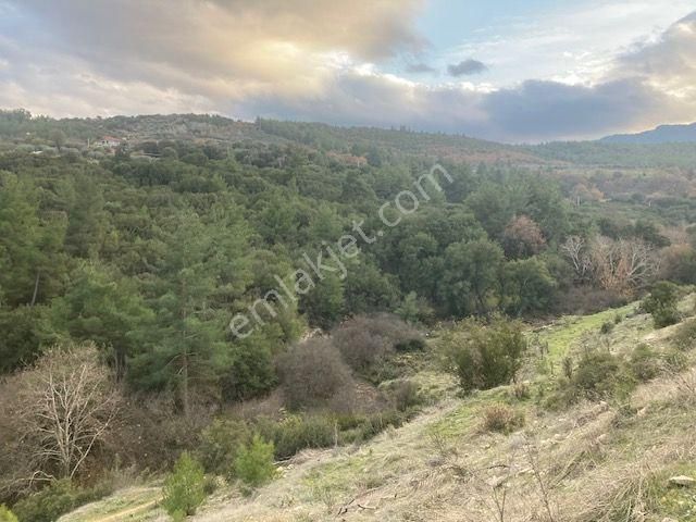 Aydın Karacasu Esençay Anayola Ve Baraja Yakın Tarla 8.284 M2 - Görsel 16