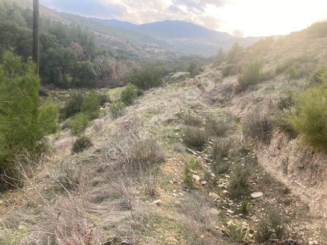 Aydın Karacasu Esençay Anayola Ve Baraja Yakın Tarla 8.284 M2 - Görsel 9
