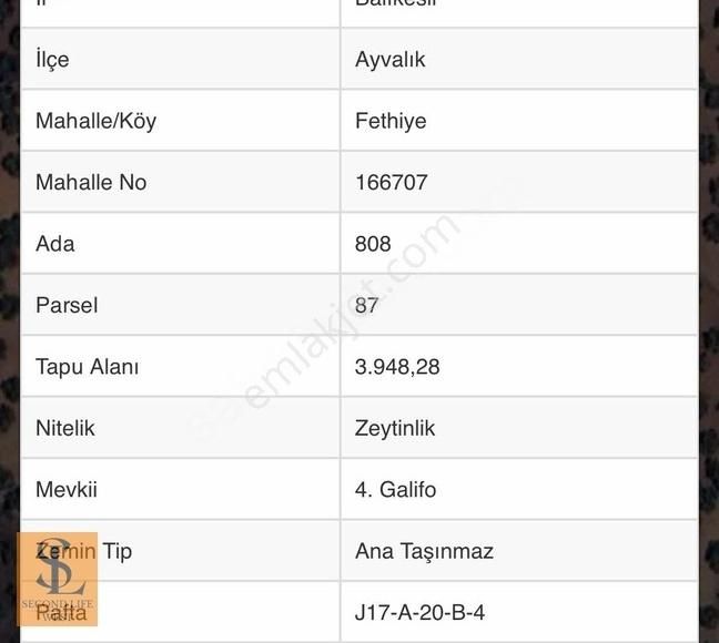 Ayvalık 150 Evler Mevkiinde Satılık 8.300 M2 Zeytinlik