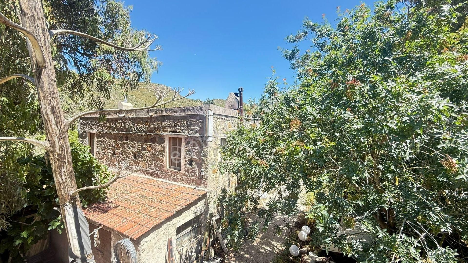Turgutreis'de İçinde Taş Ev Ve Mandalina Bahçesi Bulunan Tarla - Görsel 24
