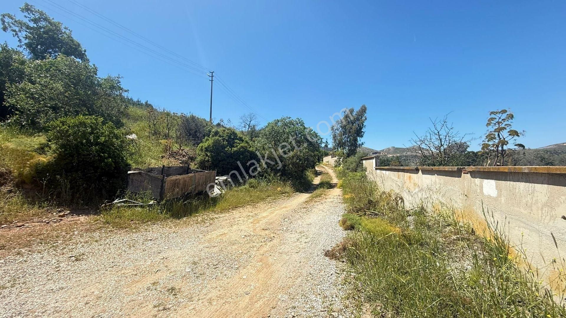 Turgutreis'de İçinde Taş Ev Ve Mandalina Bahçesi Bulunan Tarla - Görsel 25